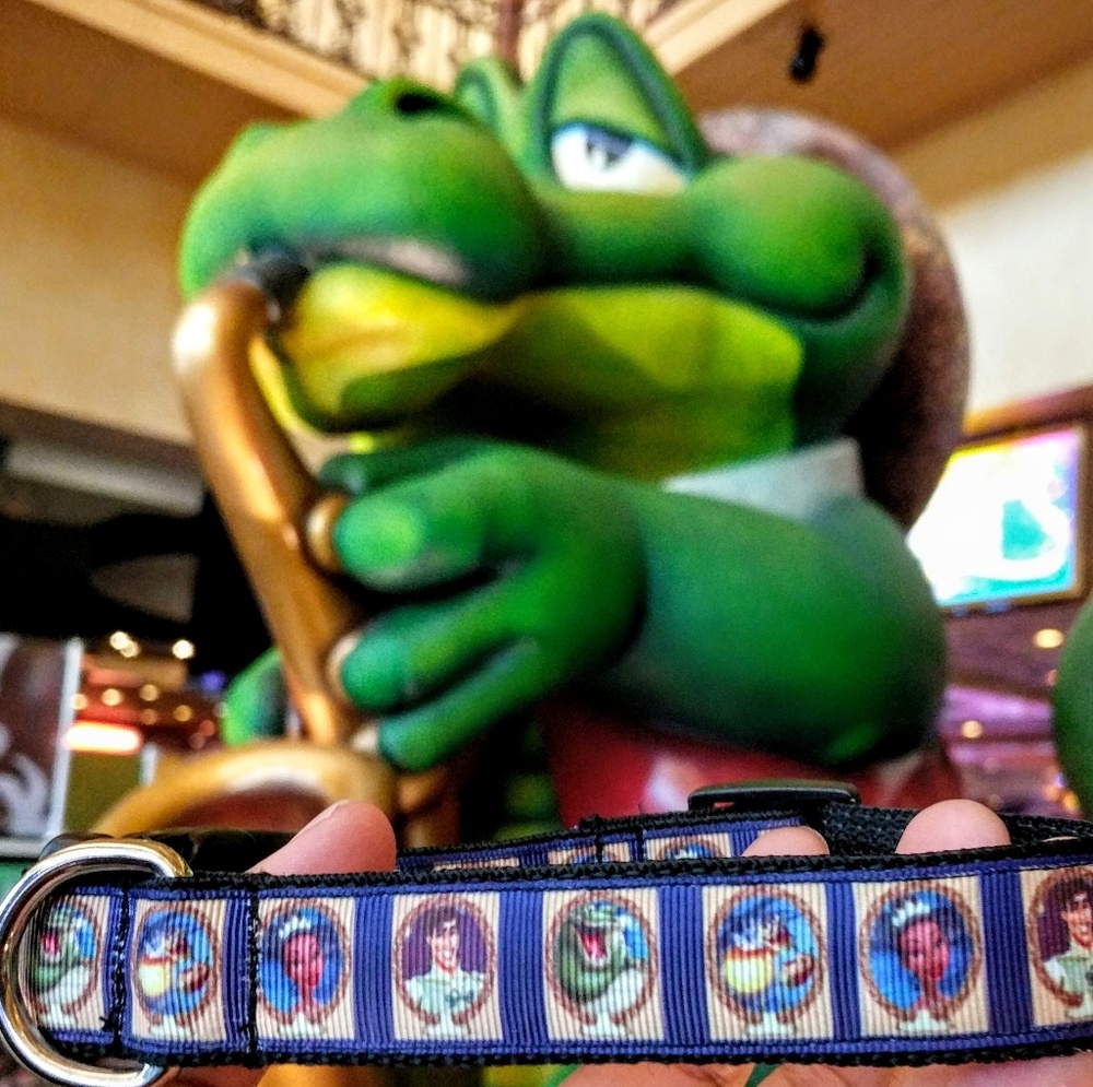 NWOT ♥️Disney Princess and the Frog dog collar